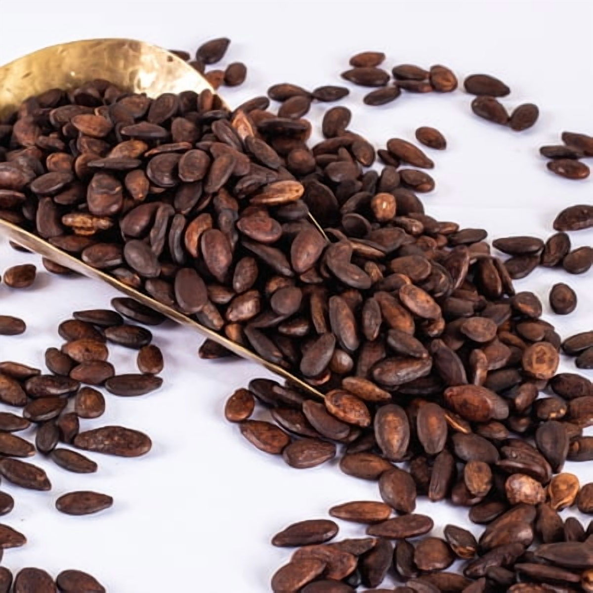 Melon Seeds Black and Extra Fancy Roasted and Salted Combo - Two Bags 16/14oz.