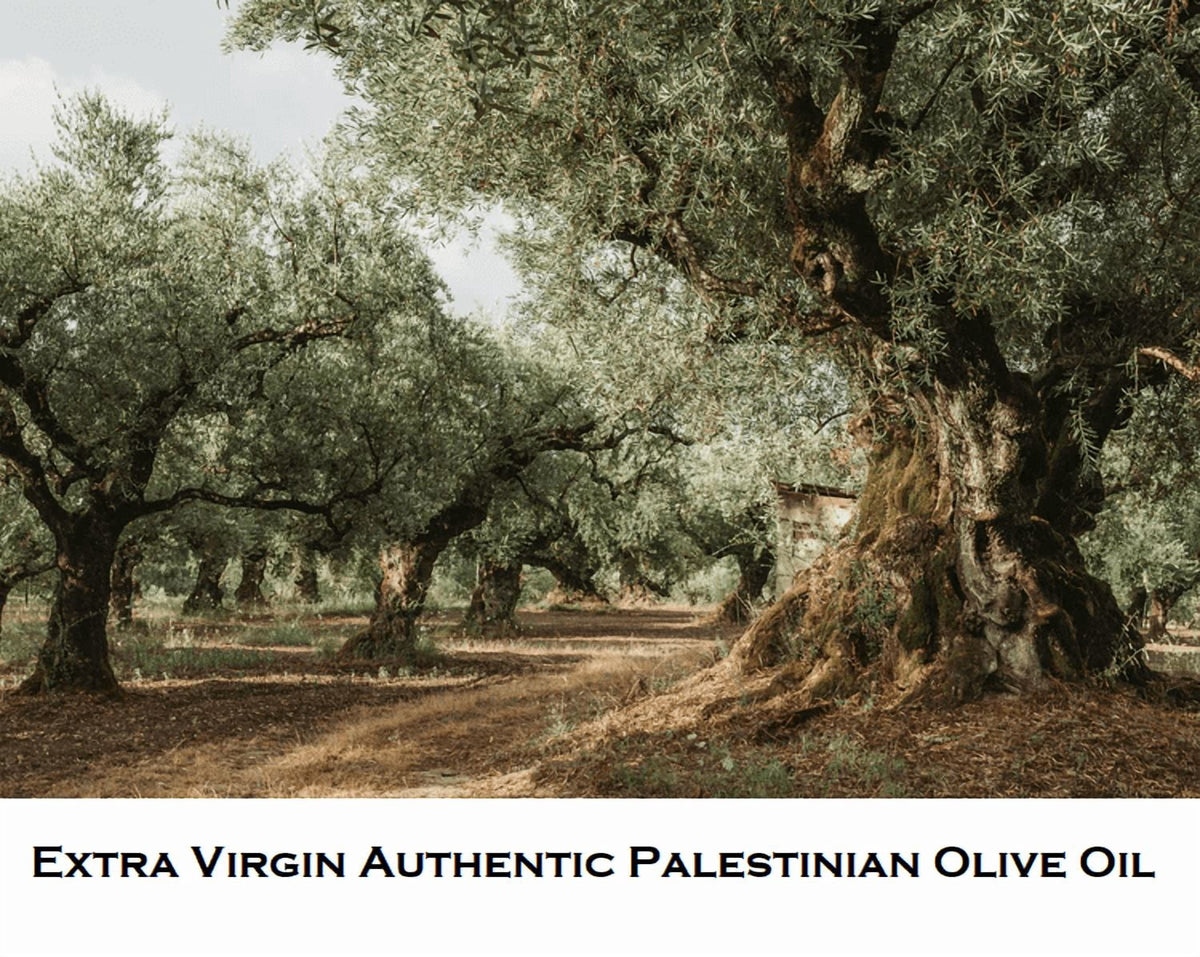 Al'ARD Extra Virgin Olive Oil First Cold Pressed One L. Tin Can/ 33.81 fl.oz.  - زيت زيتون الأرض الفلسطيني
