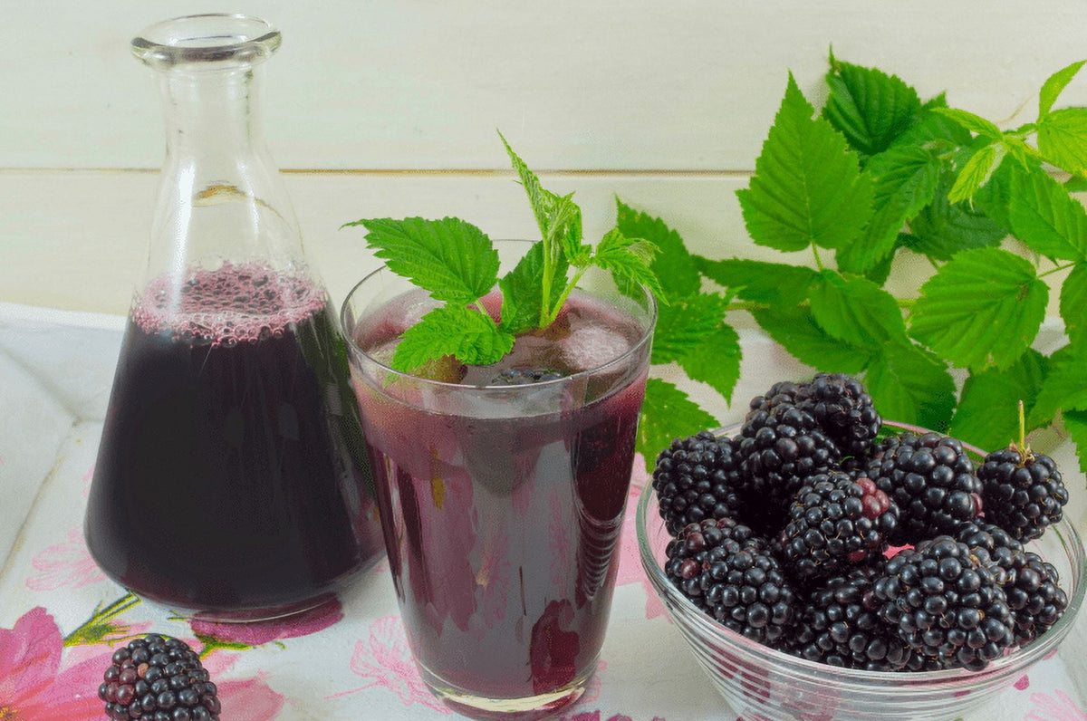 Blackberry Juice Net 33.8 fl.oz (1 Ltr.) - One Glass Bottles - High in Antioxidants