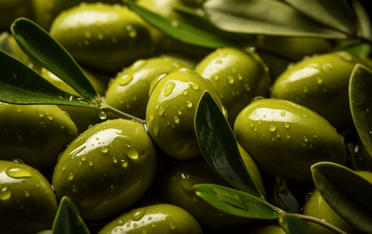 Al'ARD Extra Virgin Olive Oil First Cold Pressed One L. Tin Can/ 33.81 fl.oz.  - زيت زيتون الأرض الفلسطيني