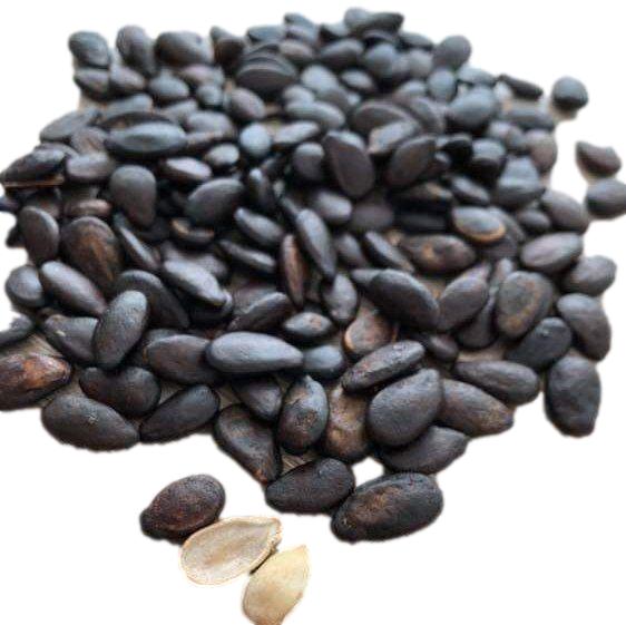 Black Melon Seeds Roasted and Salted - Two Bags NT.WT. 16oz. each.