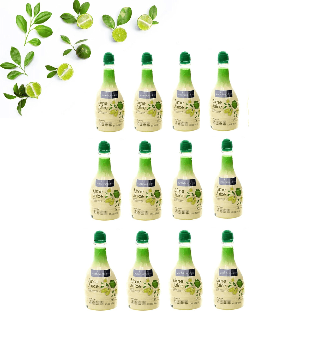 Sicilian Lime Juice with Essential Lime Oil in Squeeze Bottles, Twelve (12) Bottles 6.76 Fl.Oz. (200mL.)