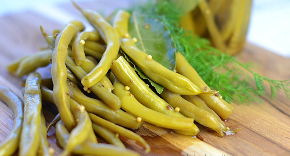 Mild Pickled Green Beans with Garlic and Spices - Four (4) 16oz (454g) Glass Jars