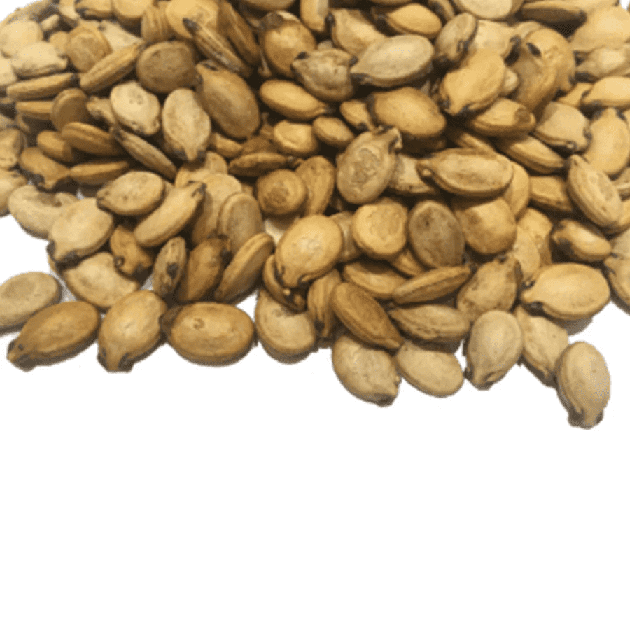 Melon Seeds Extra Fancy Roasted and Salted - Two Bags NT.WT. 14oz. each.