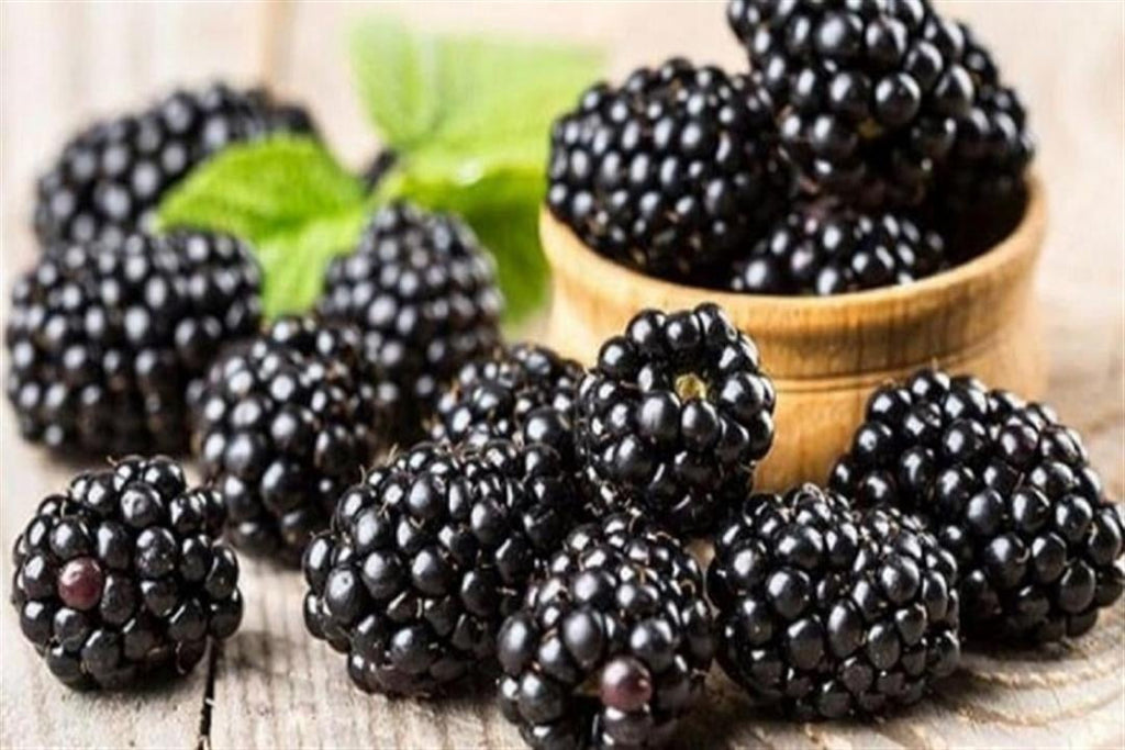 Mulberry Halal Gelatin Dessert Jell-O 3.oz each - Pack of 6 - جيليه التوت حلال