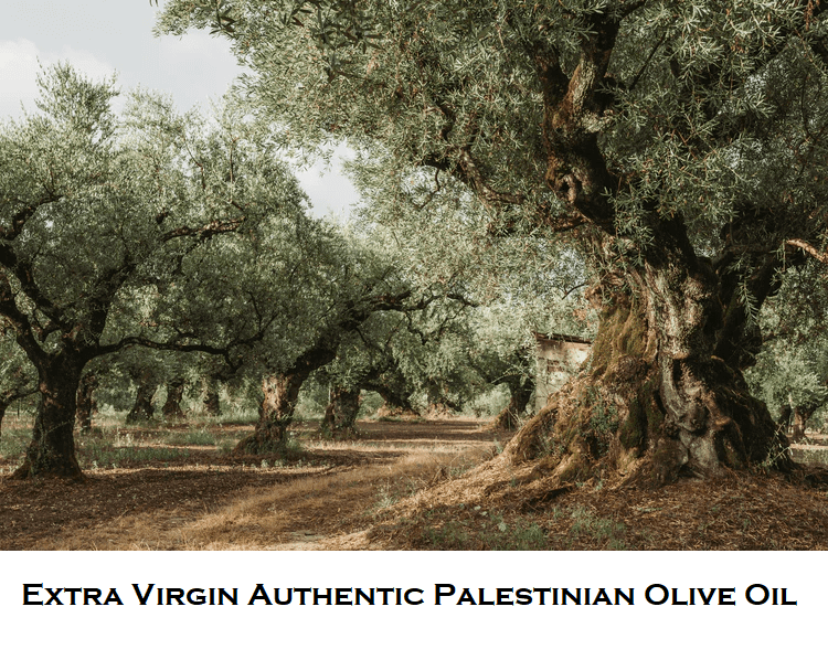 Al'ARD Extra Virgin Olive Oil First Cold Pressed 750mL / 25.36fl.oz. One (1) Bottle - زيت زيتون الأرض الفلسطيني